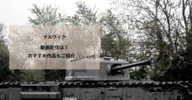 ナルヴィクの動画配信や無料視聴は？あらすじやおすすめ作品もご紹介