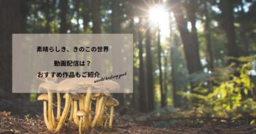 素晴らしき、きのこの世界の動画配信は？あらすじやおすすめ作品、視聴する方法もご紹介