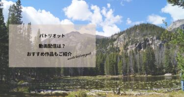 パトリオットの動画配信は？あらすじやおすすめ作品、視聴する方法もご紹介