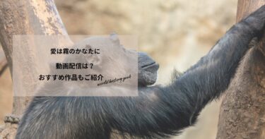 愛は霧のかなたにの動画配信は？あらすじやおすすめ作品、視聴する方法もご紹介