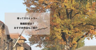 帰ってきたヒトラーの動画配信は？あらすじやおすすめ作品、視聴する方法もご紹介もご紹介
