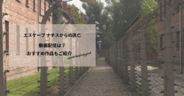 エスケープ ナチスからの逃亡の動画配信や無料視聴は？あらすじやおすすめ作品、視聴する方法もご紹介