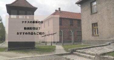 ナチスの最後の日の動画配信は？あらすじやおすすめ作品、視聴する方法もご紹介