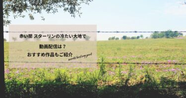 赤い闇 スターリンの冷たい大地での動画配信や無料視聴は？あらすじやおすすめ作品、視聴する方法もご紹介