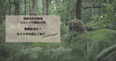 地獄の中の戦場　ワルシャワ蜂起1944の動画配信は？あらすじやおすすめ作品、視聴する方法もご紹介