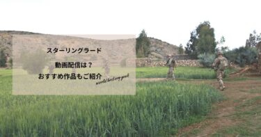 スターリングラードの動画配信は？あらすじやおすすめ作品、視聴する方法もご紹介