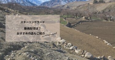 スターリングラードの動画配信は？あらすじやおすすめ作品、視聴する方法もご紹介