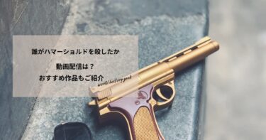 誰がハマーショルドを殺したかの動画配信は？あらすじやおすすめ作品、視聴する方法もご紹介