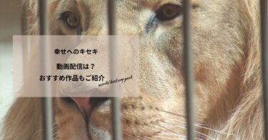 幸せへのキセキの動画配信は？あらすじやおすすめ作品、視聴する方法もご紹介