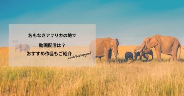 名もなきアフリカの地での動画配信は？あらすじやおすすめ作品、視聴する方法もご紹介