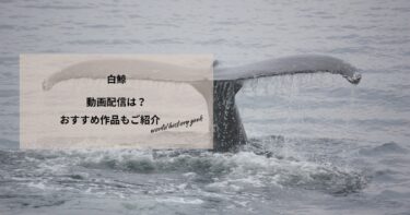 白鯨の動画配信は？あらすじやおすすめ作品、視聴する方法もご紹介
