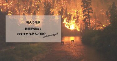 戦火の海原の動画配信は？あらすじやおすすめ作品、視聴する方法もご紹介