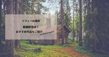 ソフィーの選択の動画配信は？あらすじやおすすめ作品、視聴する方法もご紹介