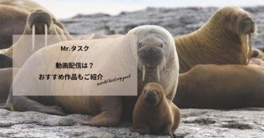 Mr.タスクの動画配信や無料視聴は？あらすじやおすすめ作品、視聴する方法もご紹介