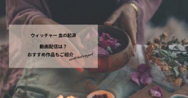 ウィッチャー 血の起源の動画配信や無料視聴は？あらすじやおすすめ作品、視聴する方法もご紹介