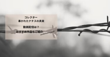 コレクター 暴かれたナチスの真実の動画配信や無料視聴は？あらすじやおすすめ作品、視聴する方法もご紹介