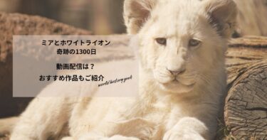 ミアとホワイトライオン 奇跡の1300⽇の動画配信や無料視聴は？あらすじやおすすめ作品、視聴する方法もご紹介