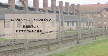 エンジェル・オブ・アウシュビッツの動画配信や無料視聴は？あらすじやおすすめ作品、視聴する方法もご紹介