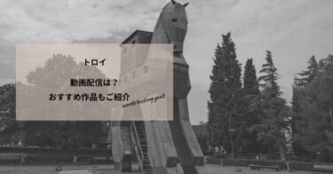 トロイの動画配信や無料視聴は？あらすじやおすすめ作品、視聴する方法もご紹介
