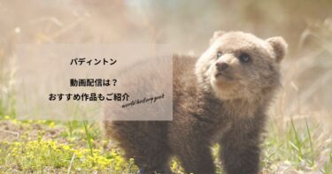 パディントンの動画配信や無料視聴は？あらすじやおすすめ作品、視聴する方法もご紹介