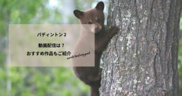 パディントン 2の動画配信や無料視聴は？あらすじやおすすめ作品、視聴する方法もご紹介