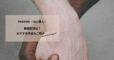 PASSING －白い黒人－の動画配信や無料視聴は？あらすじやおすすめ作品、視聴する方法もご紹介