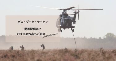 ゼロ・ダーク・サーティの動画配信や無料視聴は？あらすじやおすすめ作品、視聴する方法もご紹介