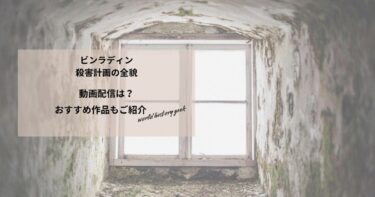 ビンラディン　殺害計画の全貌の動画配信や無料視聴は？あらすじやおすすめ作品、視聴する方法もご紹介