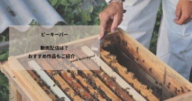 ビーキーパーの動画配信や無料視聴は？あらすじやおすすめ作品、視聴する方法もご紹介