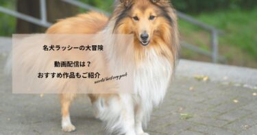名犬ラッシーの大冒険の動画配信や無料視聴は？あらすじやおすすめ作品、視聴する方法もご紹介