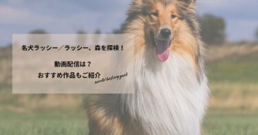 名犬ラッシー／ラッシー、森を探検！の動画配信や無料視聴は？あらすじやおすすめ作品、視聴する方法もご紹介