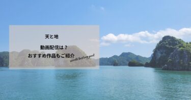 天と地の動画配信や無料視聴は？あらすじやおすすめ作品、視聴する方法もご紹介