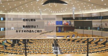 危険な関係の動画配信や無料視聴は？あらすじやおすすめ作品、視聴する方法もご紹介
