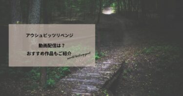 アウシュビッツリベンジの動画配信や無料視聴は？あらすじやおすすめ作品、視聴する方法もご紹介