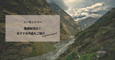ノーカントリーの動画配信や無料視聴は？あらすじやおすすめ作品、視聴する方法もご紹介