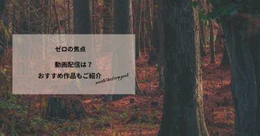 ゼロの焦点の動画配信や無料視聴は？あらすじやおすすめ作品、視聴する方法もご紹介