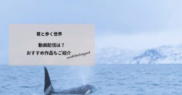 君と歩く世界の動画配信や無料視聴は？あらすじやおすすめ作品、視聴する方法もご紹介