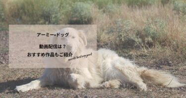アーミー•ドッグの動画配信や無料視聴は？あらすじやおすすめ作品、視聴する方法もご紹介
